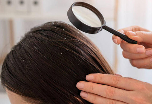 Best Beauty Parlour in Coimbatore